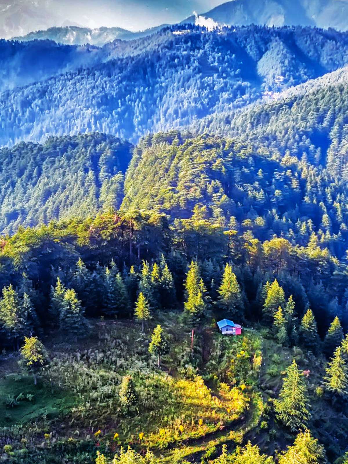 Chail Wildlife Sanctuary
